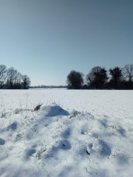 Neige sur Vieux Vy sur Couesnon