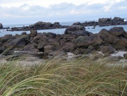 Cote Nord : Plounéour-Trez / Brignogan-Plages