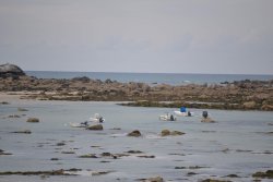 Cote Nord : Plounéour-Trez / Brignogan-Plages